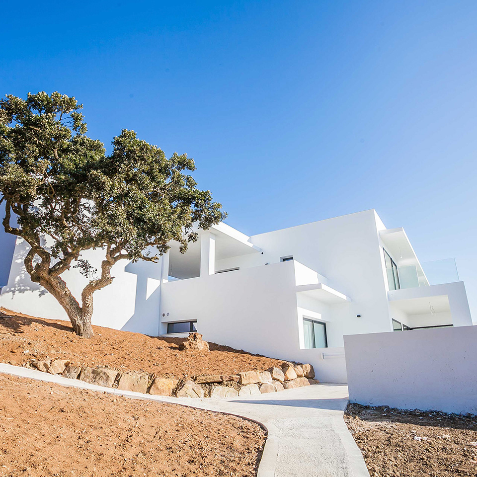 Mediterranean-style white house with windows and an oak in the patio